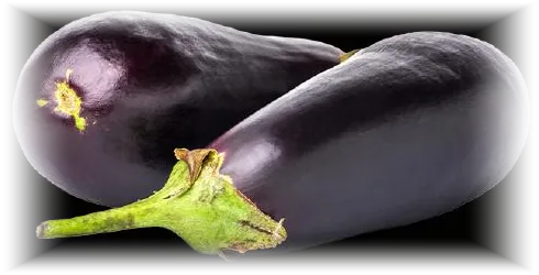 Berenjena