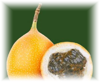 Granadilla