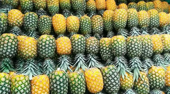 Piña Oro Miel